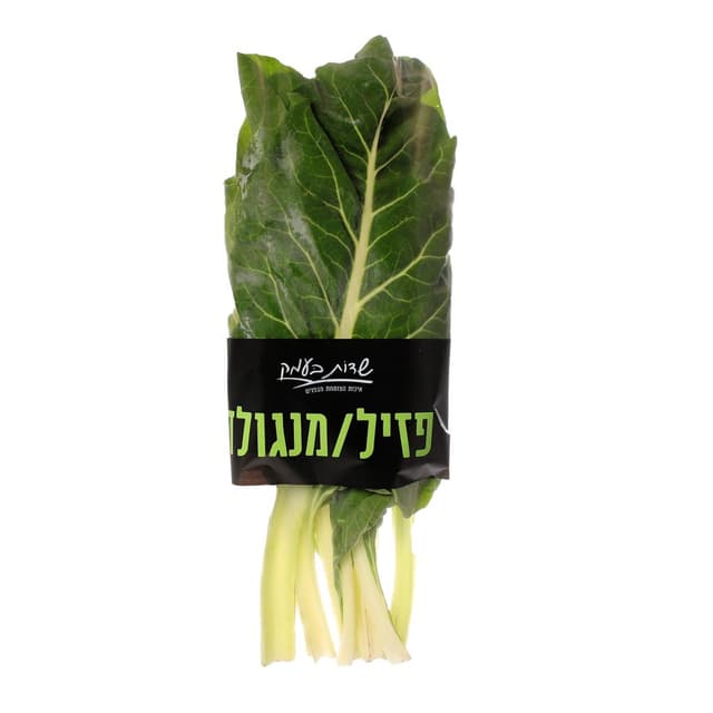 מנגולד שדות בעמק