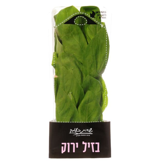 בזיליקום שדות בעמק