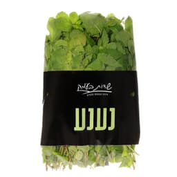 נענע שדות בעמק