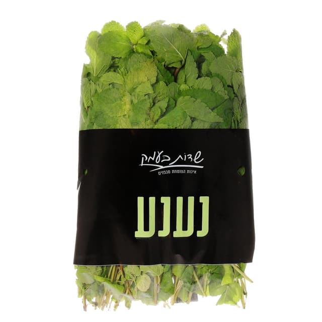 נענע שדות בעמק