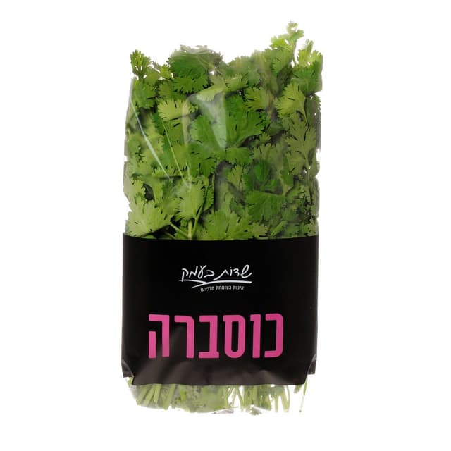 כוסברה שדות בעמק