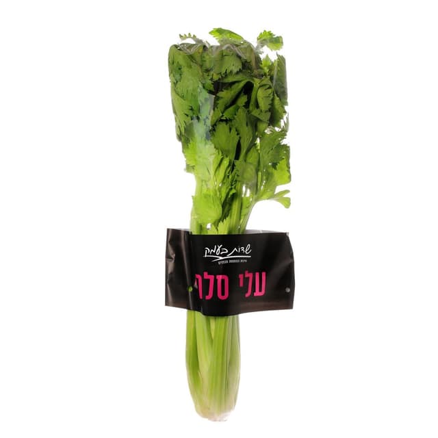 סלרי עלים שדות בעמק