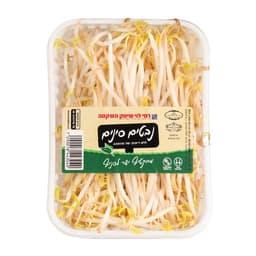 נבטים סיניים ארוז