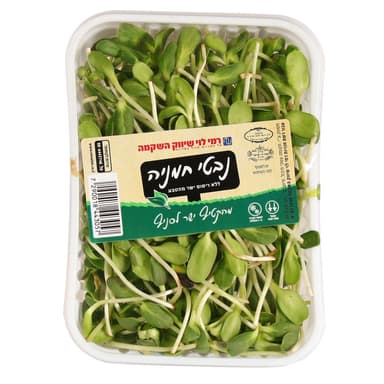 נבטי חמניה