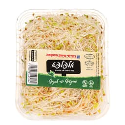 נבטי אלפלפא ארוז