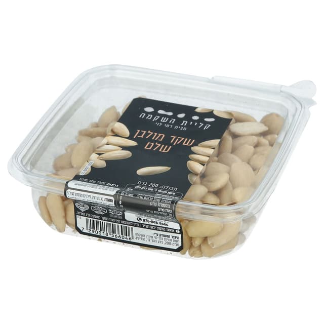 שקד מולבן אמריקאי של