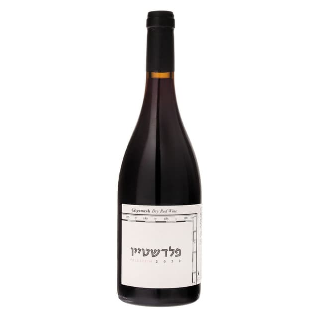 יין פלדשטיין גילגמש