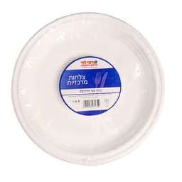 צלחת מרכזית רמי לוי