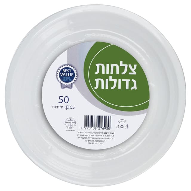 צלחת איטלקית גדולה