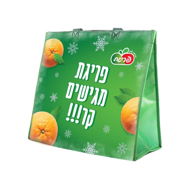 צידנית שומרת קור שקי