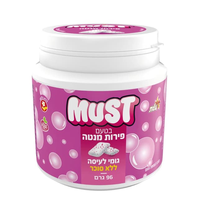 מאסט ביג פירות מנטה 96גר