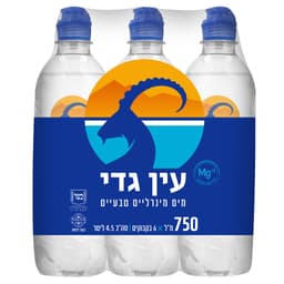 מים עין גדי 750 מ"ל