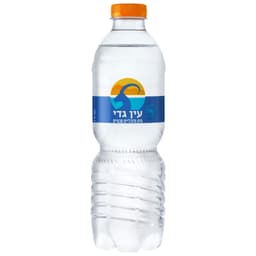 מים מינרליים טבעיים, 500 מ"ל עין גדי