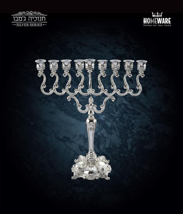 חנוכיית ג'מבו כסף 48