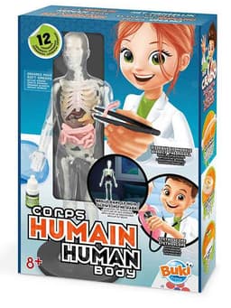 מודל גוף האדם - בוקי צרפת