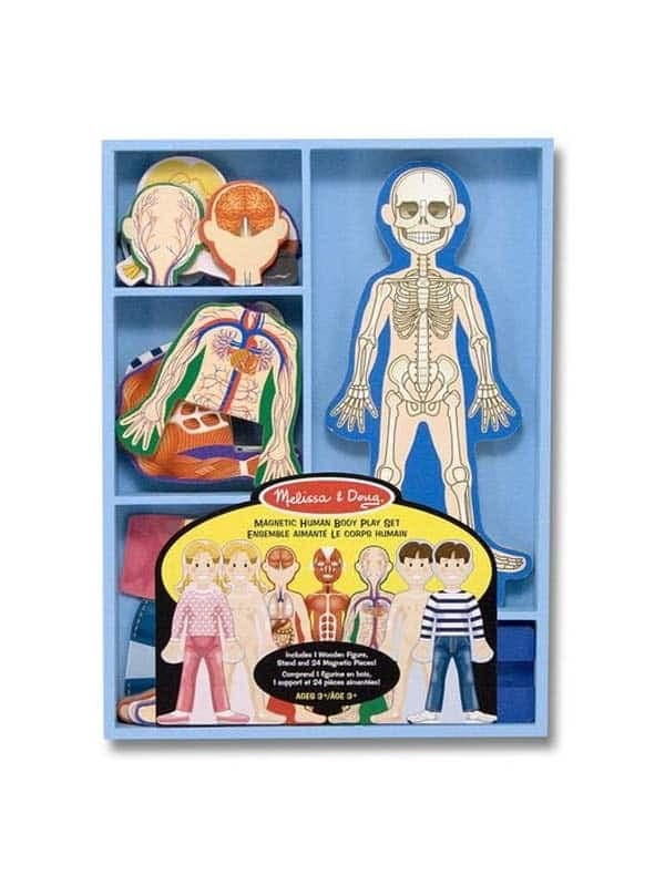 סט משחק מגנטי גוף האדם מליסה ודאג
