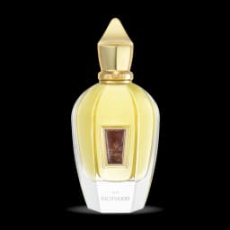 XJ 17/17 RICHWOOD PARFUM 100ML