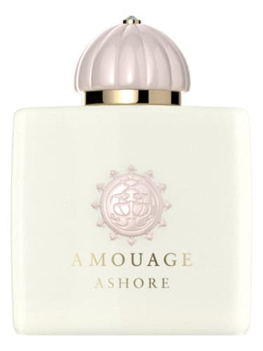 טסטר אמואג אשורTester AMOUAGE ASHORE EDP 100ML