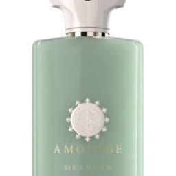 אמואג מינדר א.ד.פ Amouage Meander EDP 5ML מיני בושם (travel)