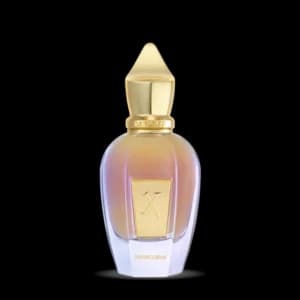סרגוף ניוקלאוס אדפ XERJOFF Newcleus edp 50ML