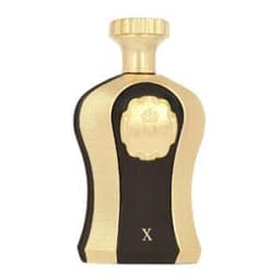 טסטר אפנאן הר היינס בלאק V אדפ -בושם לאשה- Tester Afnan Highness V Black EDP 100ml