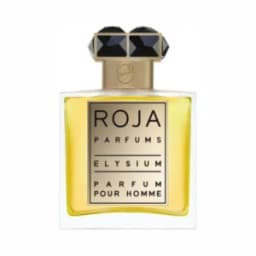 רוגה אליסיום פרפיום ROJA ELYSIUM PARFUM 5ML מיני בושם (travel)