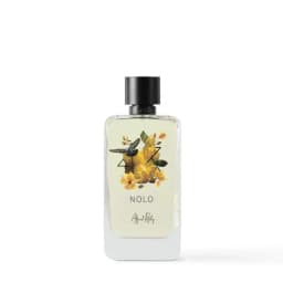 אלפרד ריצ'י נולו אדפ יוניסקס Alfred Ritchy Unisex Nolo EDP 100 ml