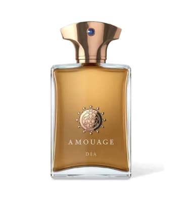 טסטר אמואג דיאה אדפ TESTER AMOUGE DIA EDP 100ML