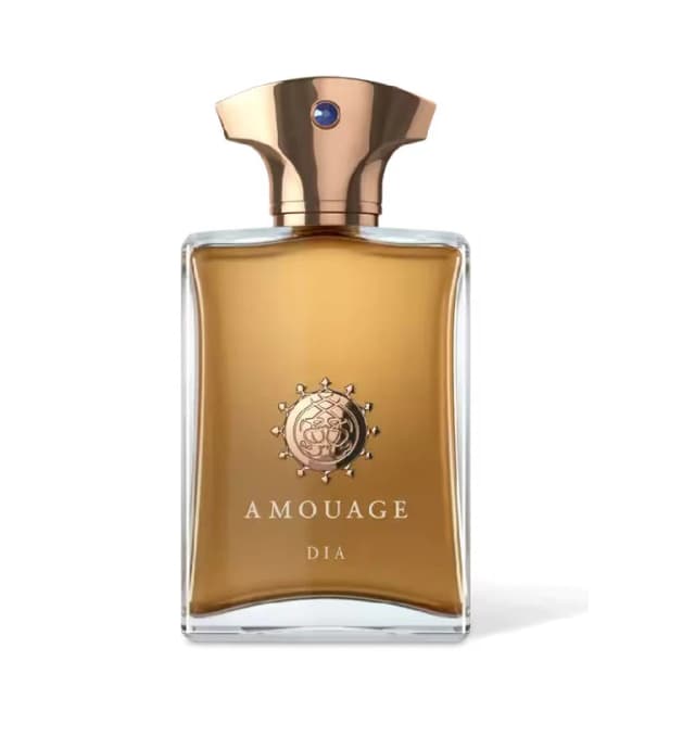 טסטר אמואג דיאה אדפ TESTER AMOUGE DIA EDP 100ML