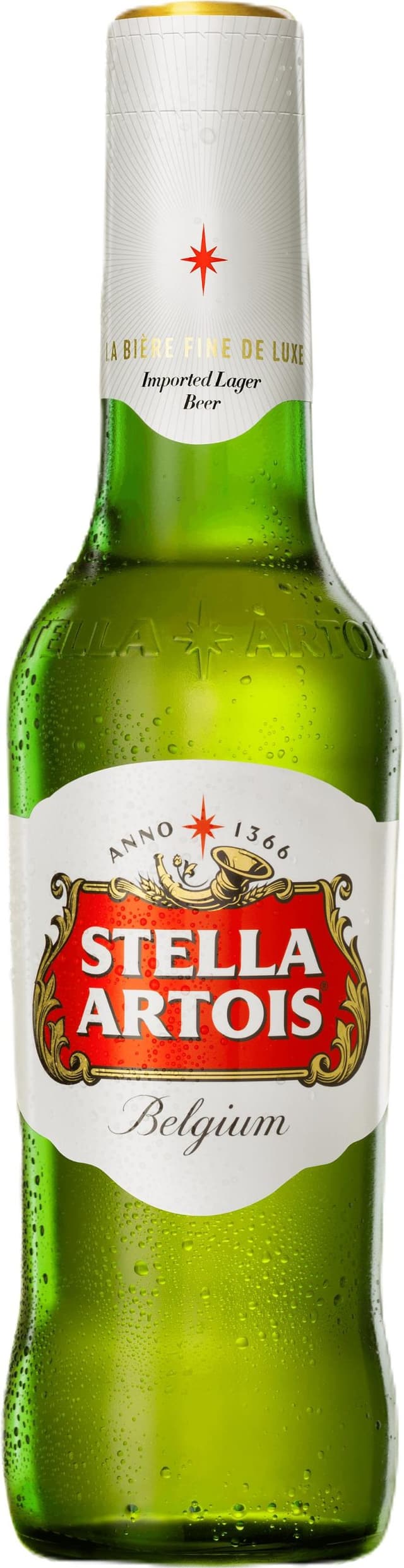 בירה סטלה 0.33