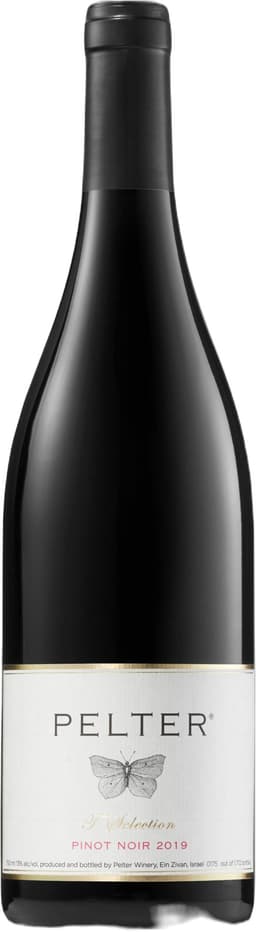 יין פלטר פינו נואר