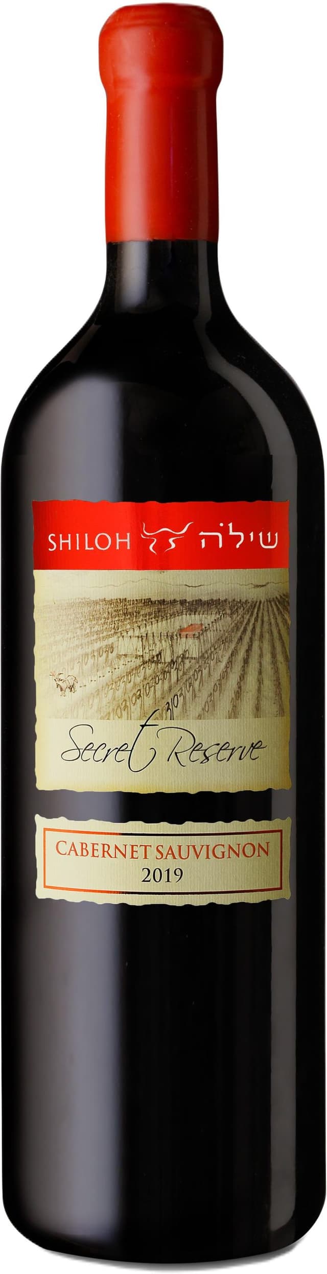 יין שילה סוד קברנה מגנום