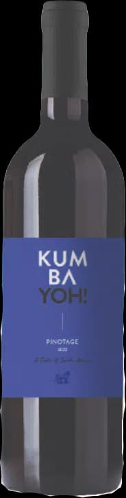 יין קומביו פינוטאז