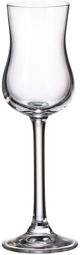 אביזרים כוס גראפה בוהמיה