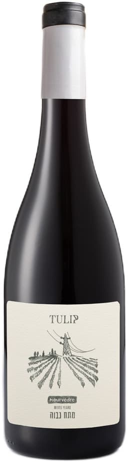 יין טוליפ מורבדר