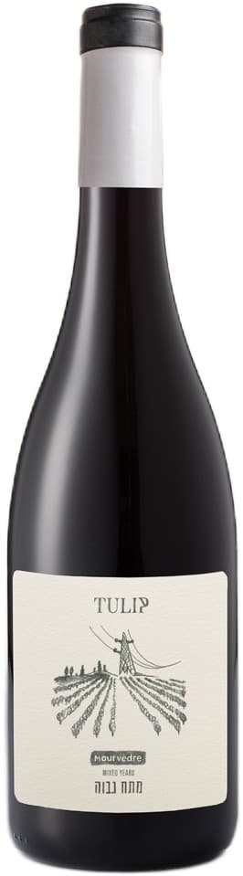 יין טוליפ מורבדר