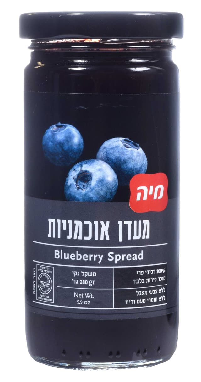 מעדן פרי אוכמניות 10