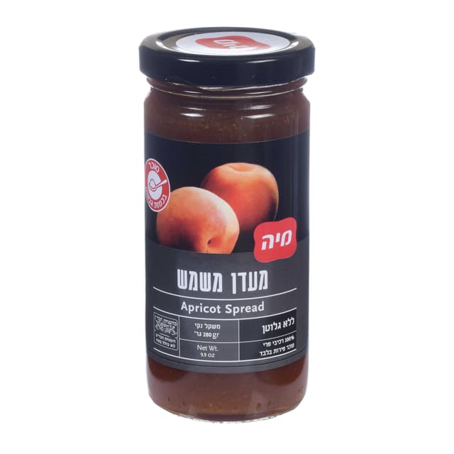 מעדן פרי משמש 100% פ