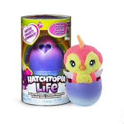 האצ'ימלס לייף