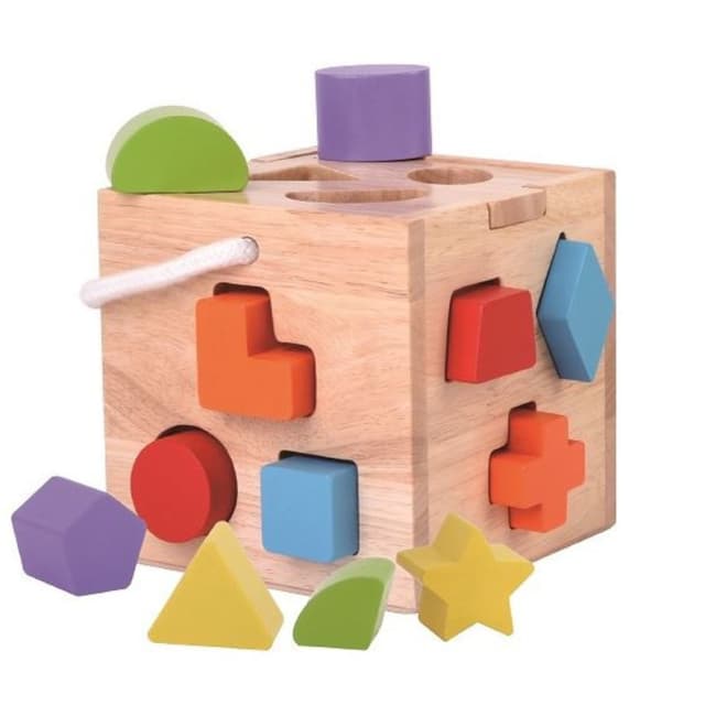 התאמת צורה קוביית עץ Pit Toys - ToySale חנות הצעצועים הזולה במדינה