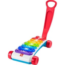 קסילופון ענק מבית Fisher price - ToySale חנות הצעצועים הזולה במדינה