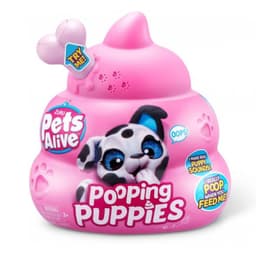 ריינבוקורן פטס