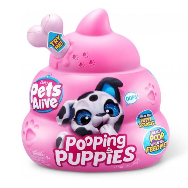 ריינבוקורן פטס