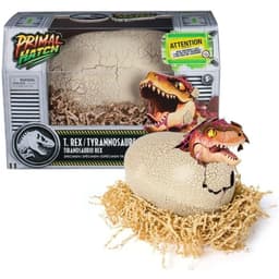 ביצת דינוזאור בוקעת בהפתעה מפרץ ההרפתקאות - ToySale חנות הצעצועים הזולה במדינה