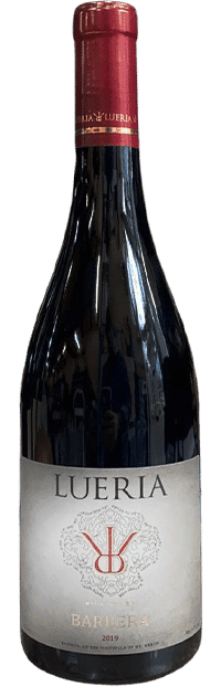 לוריא - ברברה