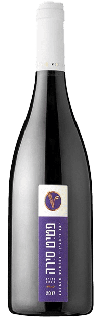 ויתקין - פטיט סירה