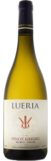 לוריא - פינו גריג'יו