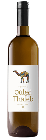 יין דומיין אולד תאלב