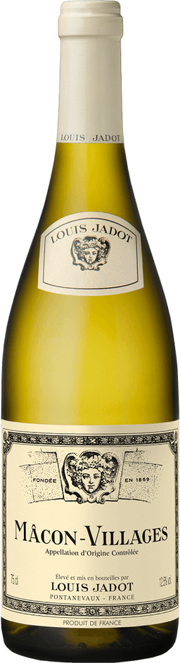 לואי ז'אדו מאקון לבן