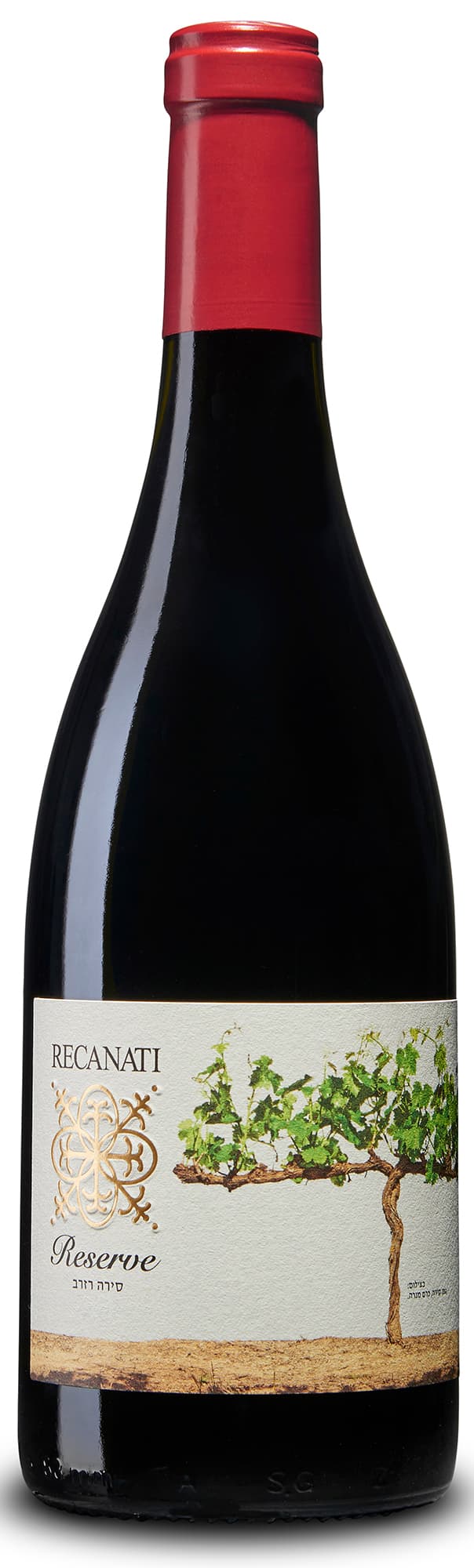 רקנאטי סירה כרם דישון 2019 ארוז